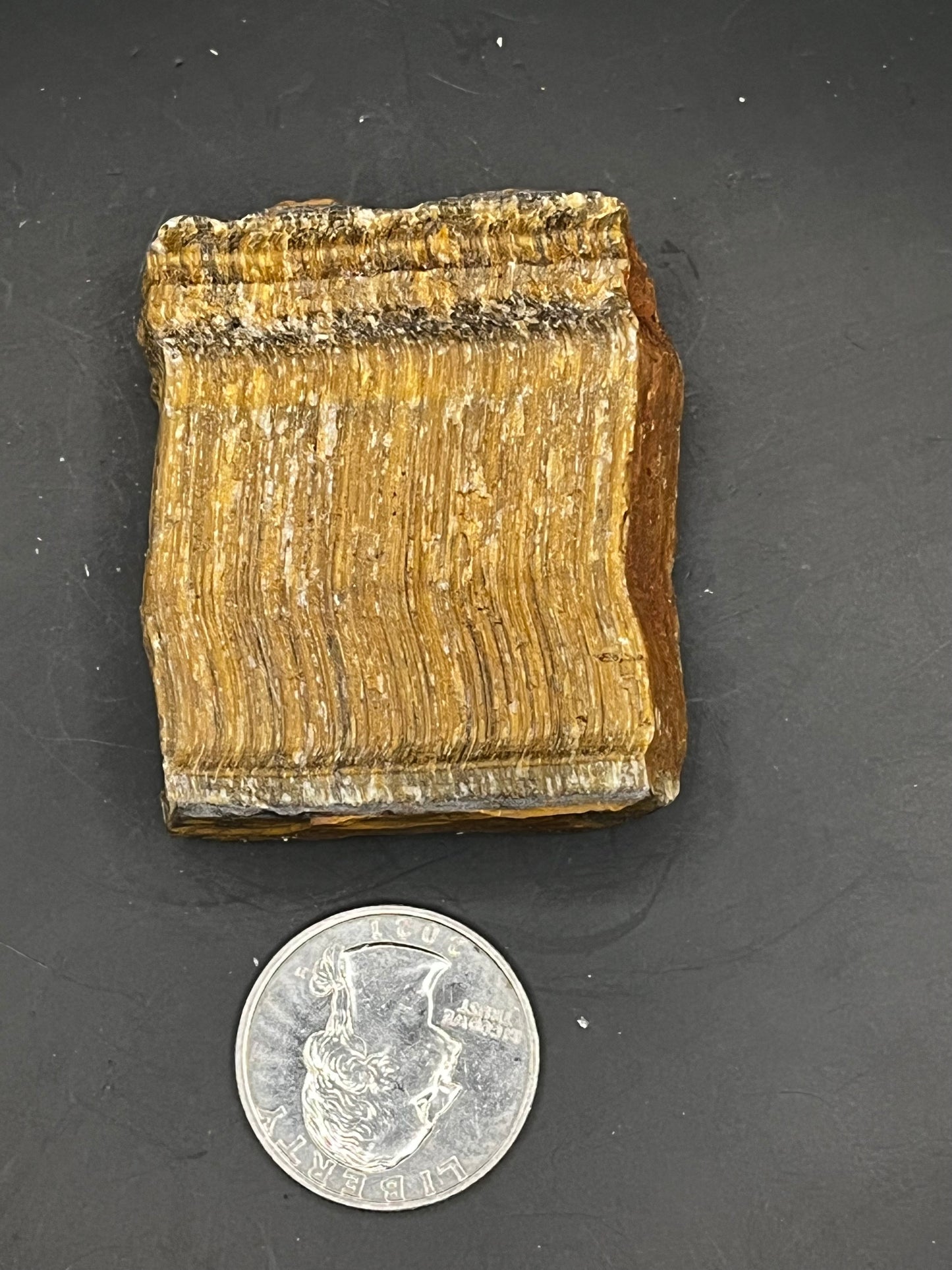 Tiger's Eye