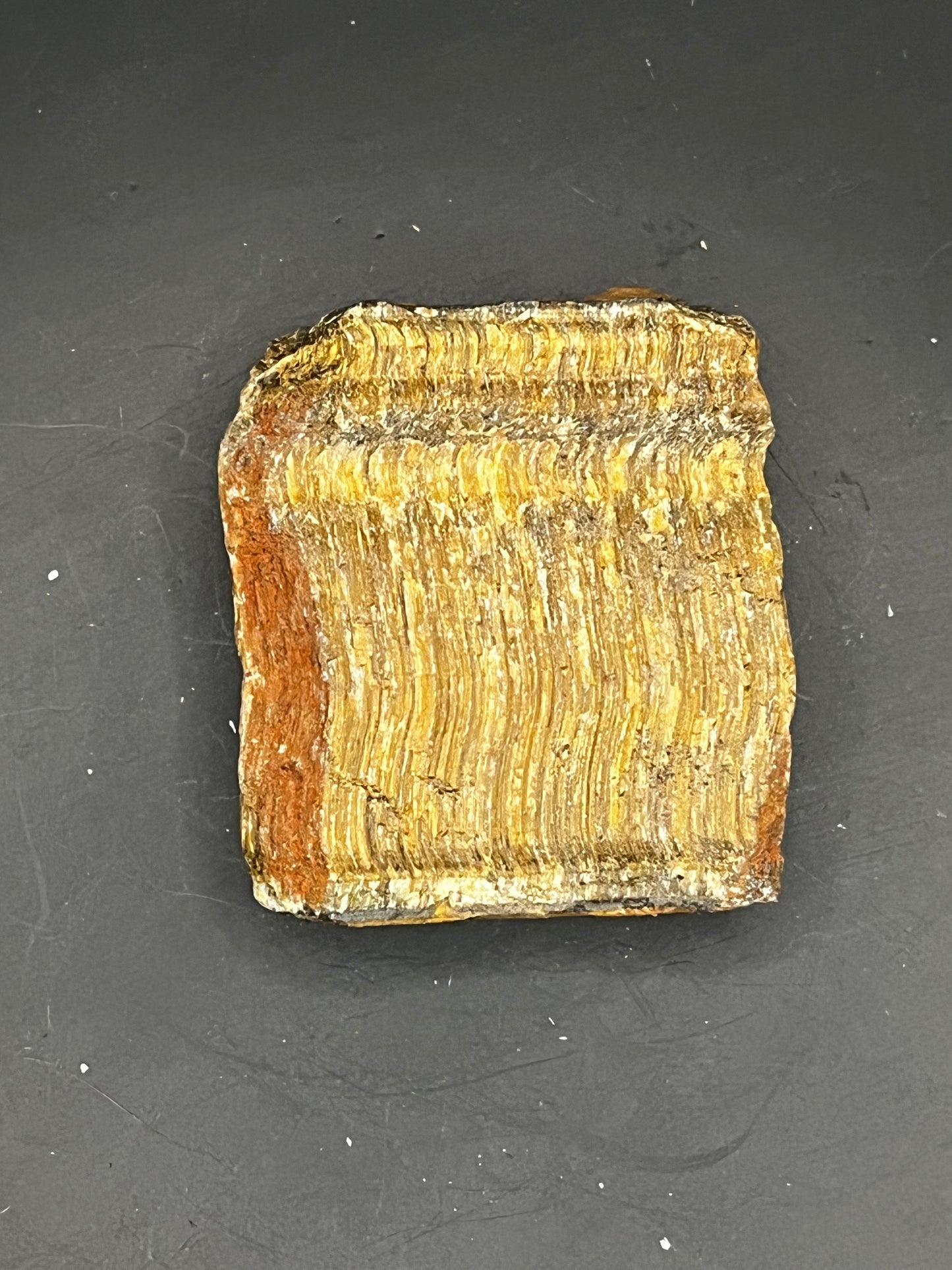 Tiger's Eye